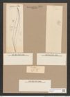 Pleurosigma formosum W.Sm. (de-Toni-Nr.: Genus 13, Species 1040) Zeichnungen Sammlung Grunow Nr. 2098 (NHMW-BOT-W0368969)